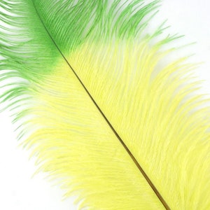 Lime and Kelly Green Tipped Ostrich Feathers, Ostrich Feather Drabs 17+&quot; 3 Pieces for Carnival & Costume Feathers ZUCKER®