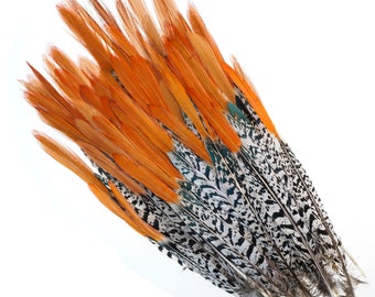 10 to 100 pcs - Lady Amherst Pheasant Feathers, 10-12" Natural Pheasant Orange Top, Loose Feathers For Jewelry Making, Crafting  ZUCKER®