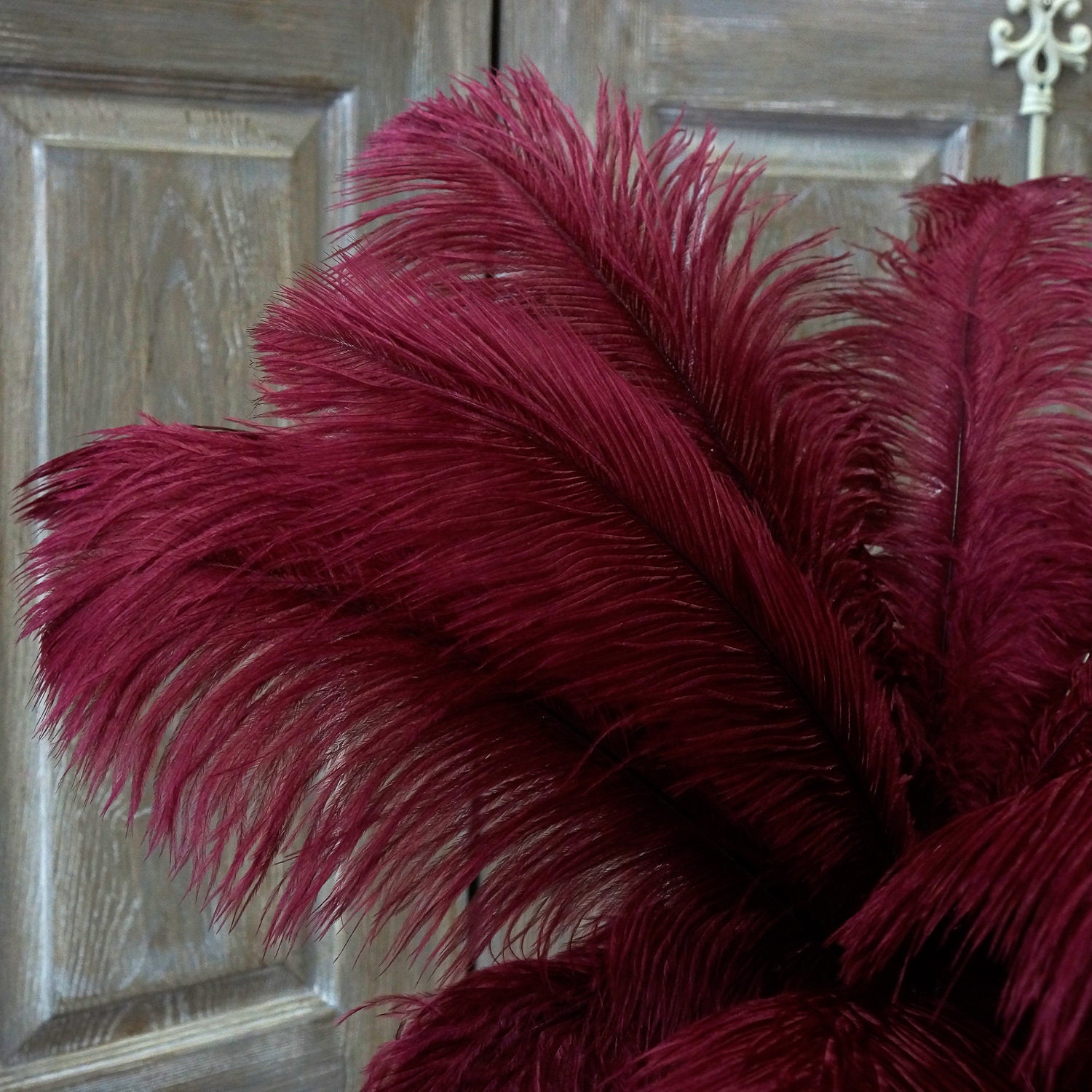 Burgundy ostrich feather fringe - Lace To Love