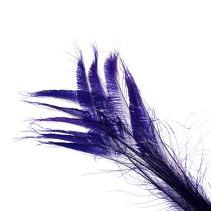 Bleach Dyed Peacock Sword Feathers 10 to 100 Pieces 15-25" REGAL - Floral, Millinery, Jewelry Design ZUCKER® Dyed & Sanitized in USA