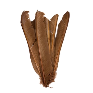 Camel Cut Turkey Pointers 8-12&quot; Dyed 6pcs, Turkey Pointer Quills for Costume, Carnival, Halloween, Cosplay and DIY Arts & Crafts ZUCKER®