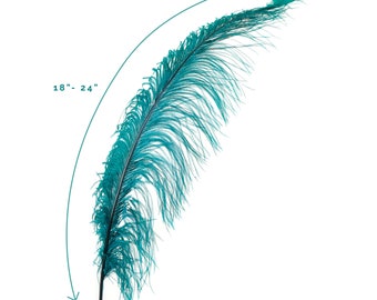 Ostrich Feathers, Teal Ostrich Feather Spads 18-24", Centerpiece Floral Supplies, Carnival & Costume Feathers ZUCKER®