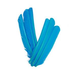 Turquoise Cut Turkey Pointers 8-12&quot; Dyed 6pcs, Turkey Pointer Quills for Costume, Carnival, Halloween, Cosplay and DIY Arts & Crafts ZUCKER®