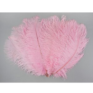 Ostrich Feathers 13-16 CANDY PINK for Feather - Etsy