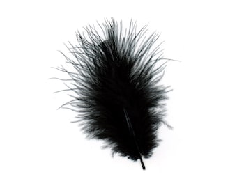 May include: A single black feather with a long, thin shaft and soft, fluffy plumes.