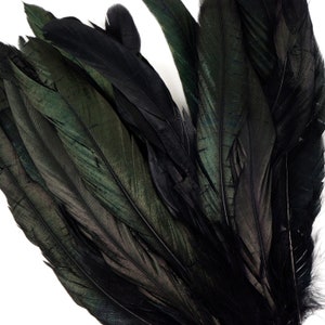 8-10" Rooster Coque Tail Feathers, Black Iridescent Dyed Rooster Feathers, Long Rooster Feathers 25 pieces Jewelry & Art Supply ZUCKER®