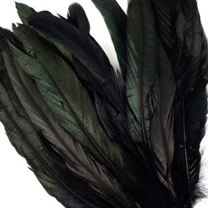 May include: A bunch of black feathers with a slight green iridescent sheen. The feathers are arranged in a fan shape.