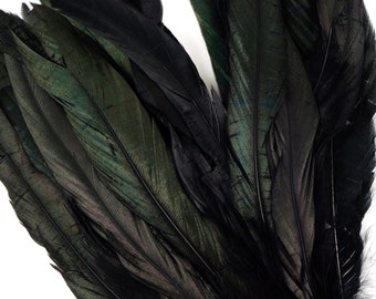 Rooster Feathers