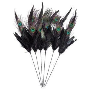 Peacock Pheasant Feather Floral Stem - Black
