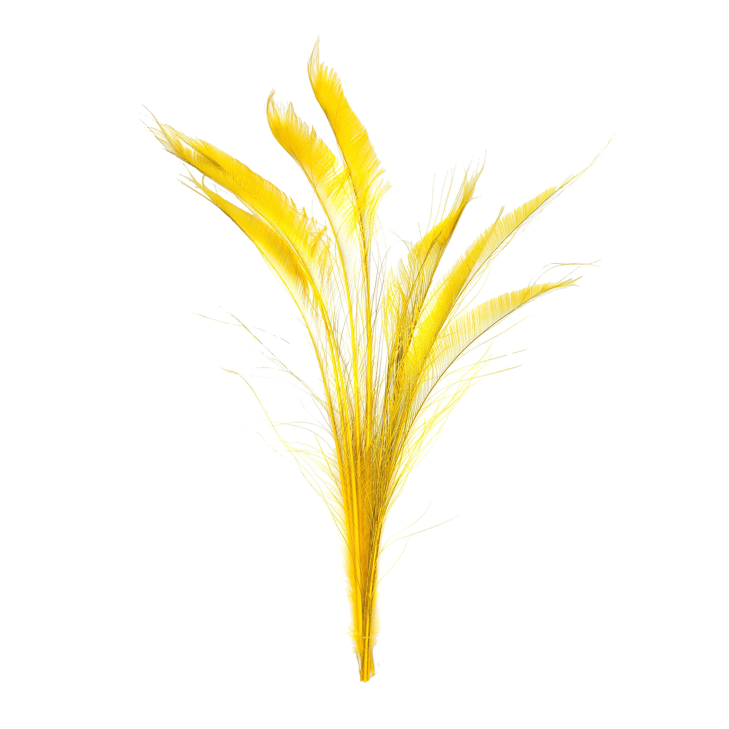 Bleach Dyed Peacock Sword Feathers 10 to 100 Pieces 1525 GOLD Floral