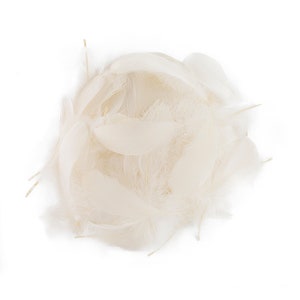 Goose Nagoire Feathers, 4-6&quot; Ivory Beige Loose Goose Nagoire Feathers, Small Feathers, Arts and Craft Supplies ZUCKER®