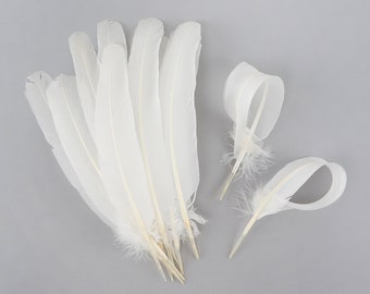 Turkey Feathers, 1DZ WHITE Turkey Quills -  WHITE Parried Turkey Quills for Millinery, Carnival and Costume Design ZUCKER®