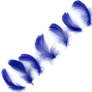 Goose Coquille Feathers, 3-5&quot; Regal Loose Goose Feathers, Small Feathers, Arts and Craft Supplies ZUCKER®