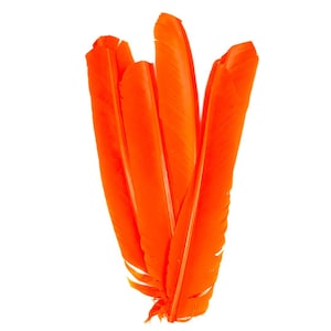 Orange Cut Turkey Pointers 8-12&quot; Dyed 6pcs, Turkey Pointer Quills for Costume, Carnival, Halloween, Cosplay and DIY Arts & Crafts ZUCKER®