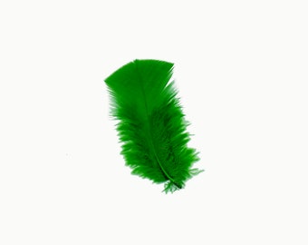 Turkey Feathers, Kelly Green Loose Turkey Plumage Feathers, Short T-Base Body Feathers for Craft and Fly Fishing Supply ZUCKER®