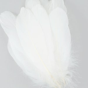 Goose Feathers, 6-8&quot; Loose Goose Pallet Feathers WHITE, White Feathers, For Arts and Craft Supplies ZUCKER®