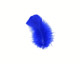 Turkey Feathers, Royal Blue Loose Turkey Plumage Feathers, Short T-Base Body Feathers for Craft and Fly Fishing Supply ZUCKER®