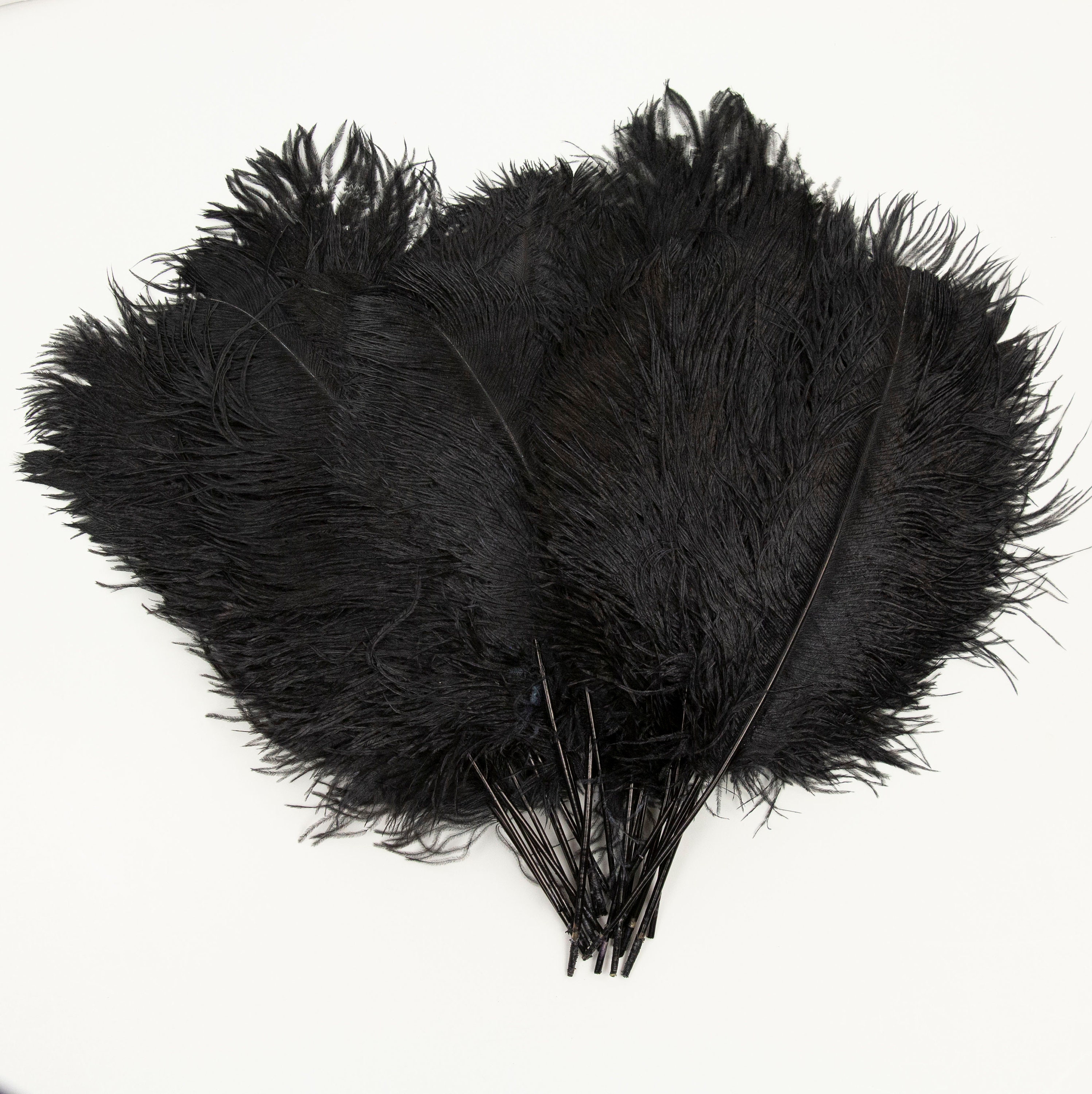 Bulk Ostrich Feathers-Damaged Femina - Brown –  by Zucker  Feather Products, Inc.