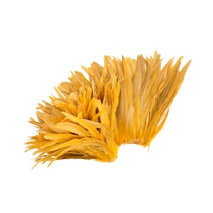 Rooster Tail Feathers, GOLD 12-14&quot; Strung Bleach Dyed Coque Tails, Wholesale Feathers Bulk ZUCKER®