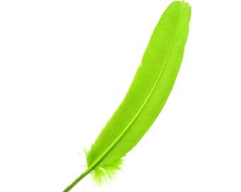 Turkey Feathers, 1DZ LIME Turkey Quills - LIME Parried Turkey Quills for Millinery, Carnival and Costume Design ZUCKER®