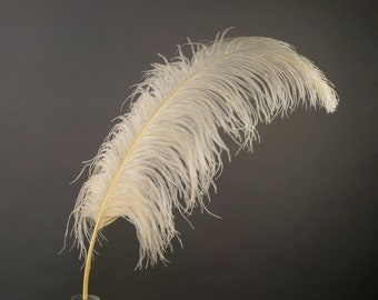 X-Large Ostrich Feathers 24-30", 1 to 25 Pieces, IVORY, For Wedding Centerpieces, Party Decor, Millinery, Carnival, Costume ZUCKER®