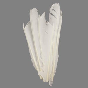 White Cut Turkey Pointers 8-12&quot; Dyed 6pcs, Turkey Pointer Quills for Costume, Carnival, Halloween, Cosplay and DIY Arts & Crafts ZUCKER®