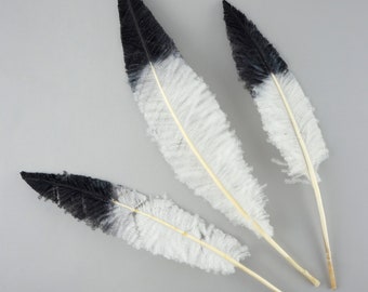 Black and White Tipped Ostrich Nandu Feathers, Ostrich Feather Nandus 13-24" 3 Pieces for Carnival & Costume Feathers ZUCKER®