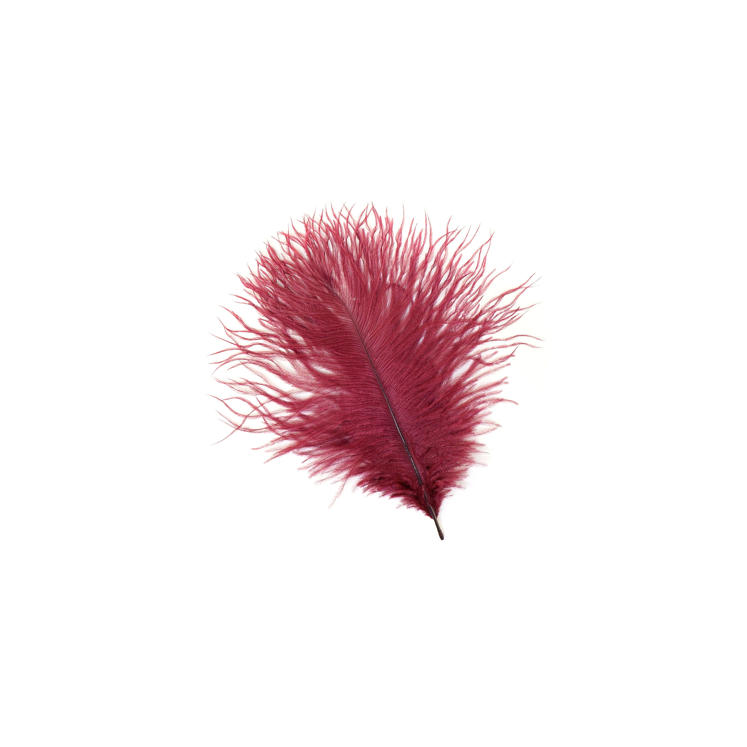 BURGUNDY 4-8 Bulk Ostrich Feathers 1/4LB - For Feather Centerpieces ...