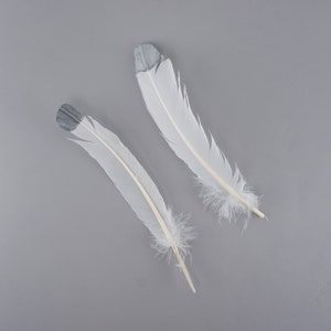 White & Silver Metallic Tipped Turkey Round Feathers 2 pieces For Cultural Arts and Crafts, Carnival and Costume Design ZUCKER®