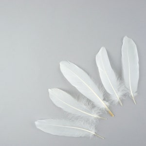 Goose Satinette Feathers, 4-6&quot; White Loose Goose Feathers, Small Feathers, Art and Craft Supplies ZUCKER®