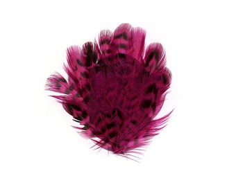 Pheasant Feather Pad, Pink Feather Pad, Mini Feather Patch for DIY Feather Fascinator, Millinery, Costume and Carnival Design  ZUCKER®