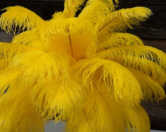 Ostrich Feathers 17-20" YELLOW, 1 to 25 pcs, Ostrich Plumes, Carnival Samba, Ostrich Drab, Mardi Gras, Centerpieces, Feather Fan ZUCKER® USA