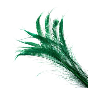 Bleach Dyed Peacock Sword Feathers 10 to 100 Pieces 15-25" KELLY Green, Floral Decor, Millinery, Jewelry Design ZUCKER® Dyed & Sanitized USA