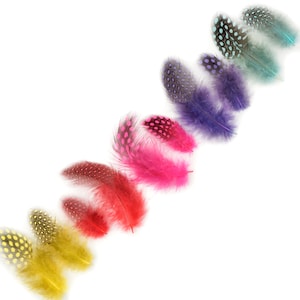 Guinea Feathers, Dyed Day Glow Rainbow Mix 1-4” Guinea Hen Polka Dot Loose Plumage Feathers & Craft Supply ZUCKER®