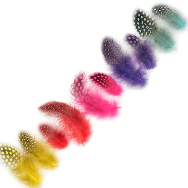 Guinea Feathers, Dyed Day Glow Rainbow Mix 1-4” Guinea Hen Polka Dot Loose Plumage Feathers & Craft Supply ZUCKER®