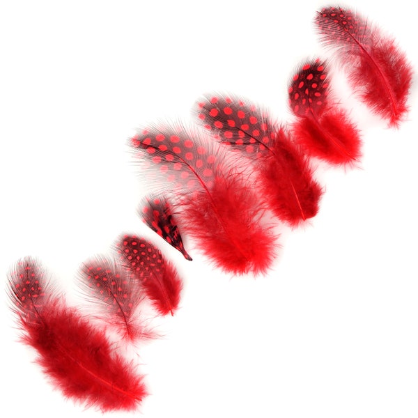 Guinea Feathers, Dyed Red 1-4” Guinea Hen Polka Dot Loose Plumage Feathers & Craft Supply ZUCKER®