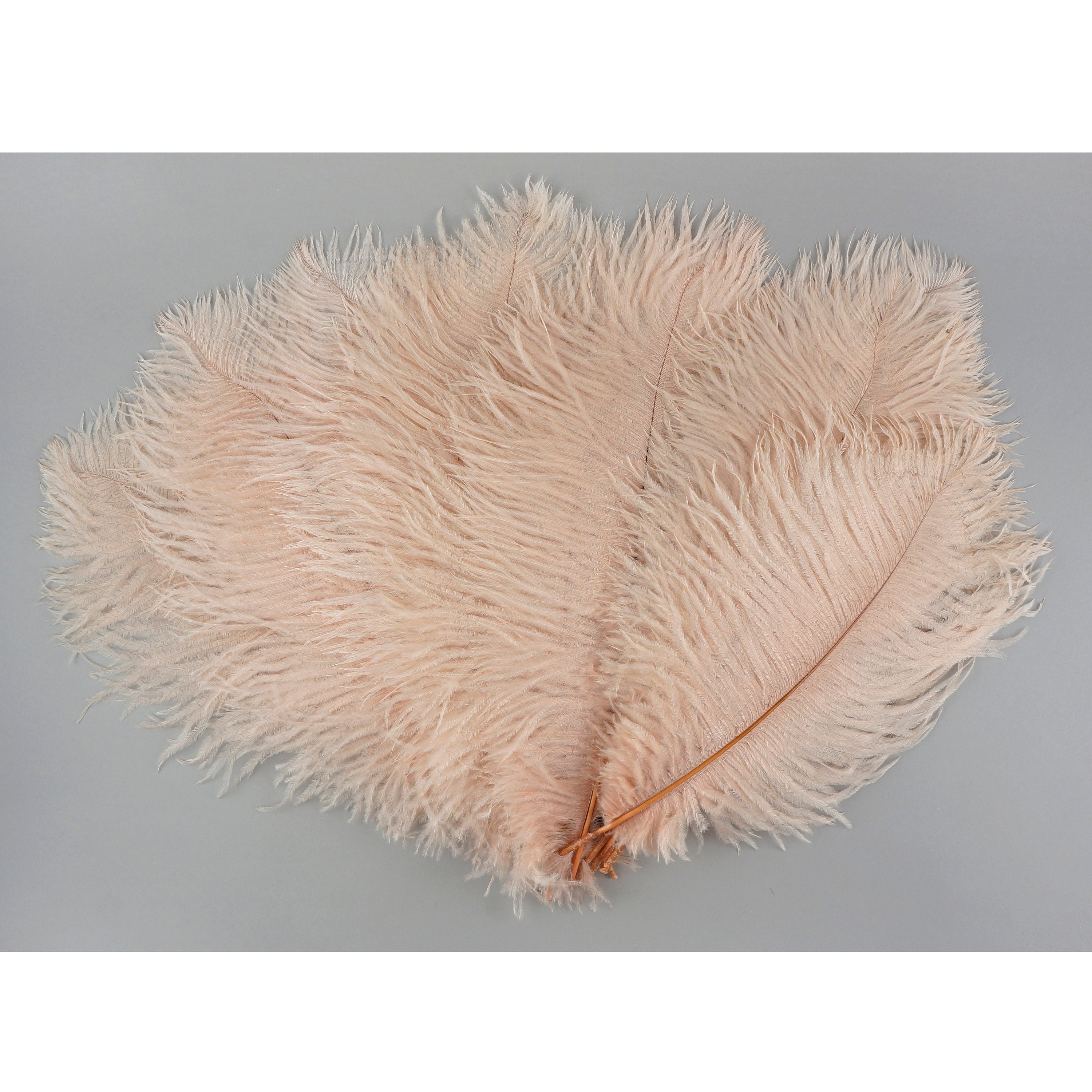 Ostrich Feathers 1316 CHAMPAGNE Pink Blush Ostrich For Feather