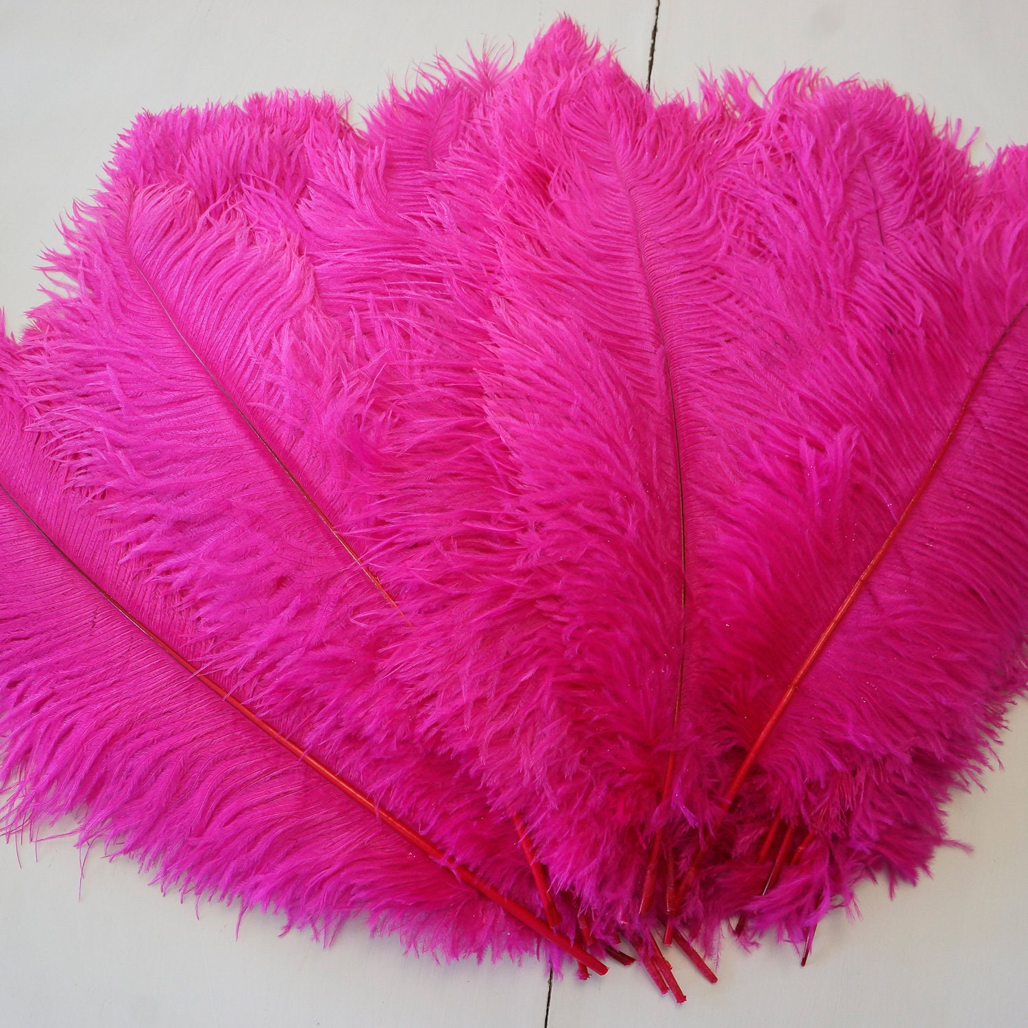 Ostrich Feathers 17-20 Shocking PINK 1 to 25 Pcs - Etsy