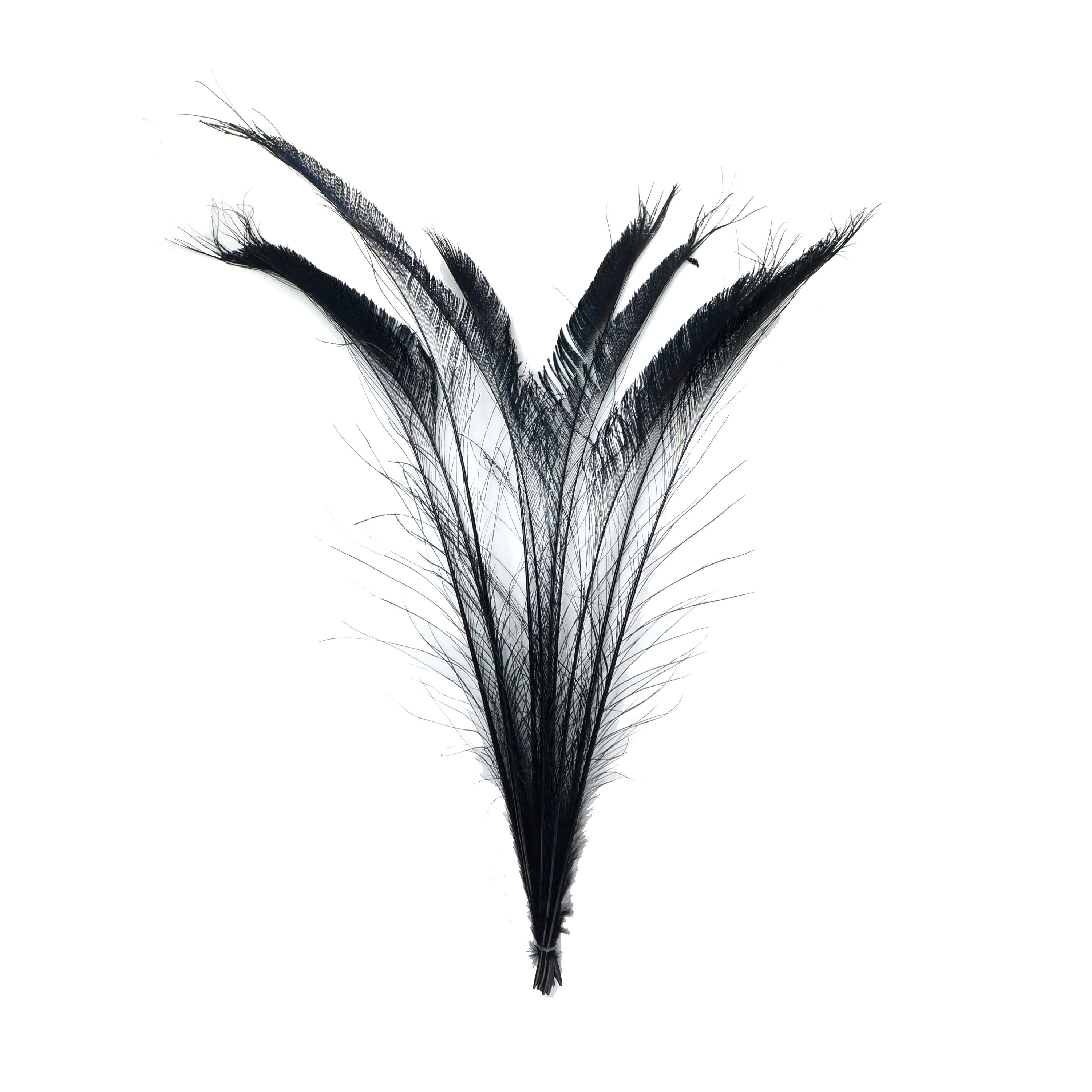 Bleach Dyed Peacock Sword Feathers 10 to 100 Pieces 1525 BLACK Floral Decor, Millinery