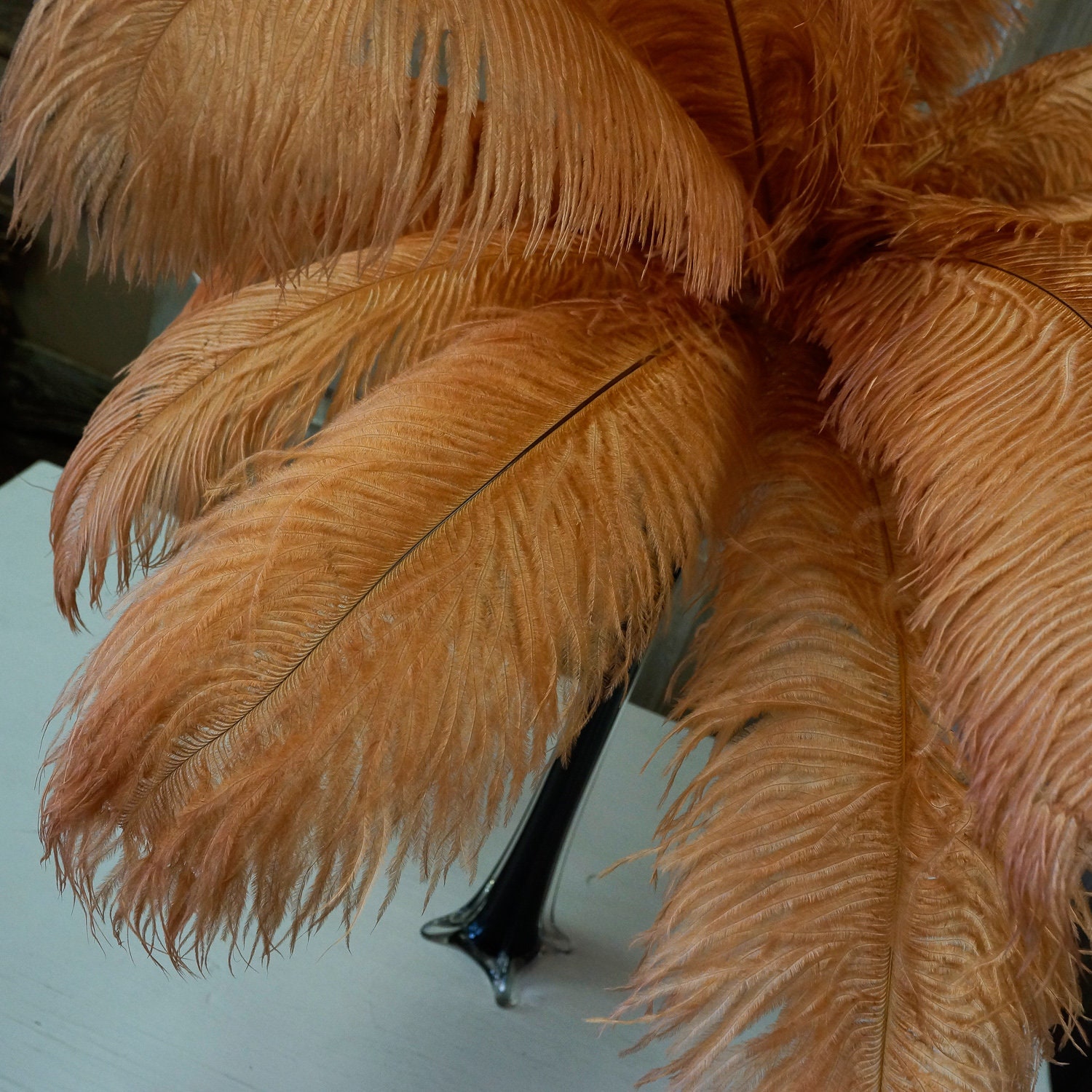 Ostrich Feathers Black 10 to 12 Inches Long for Angela 