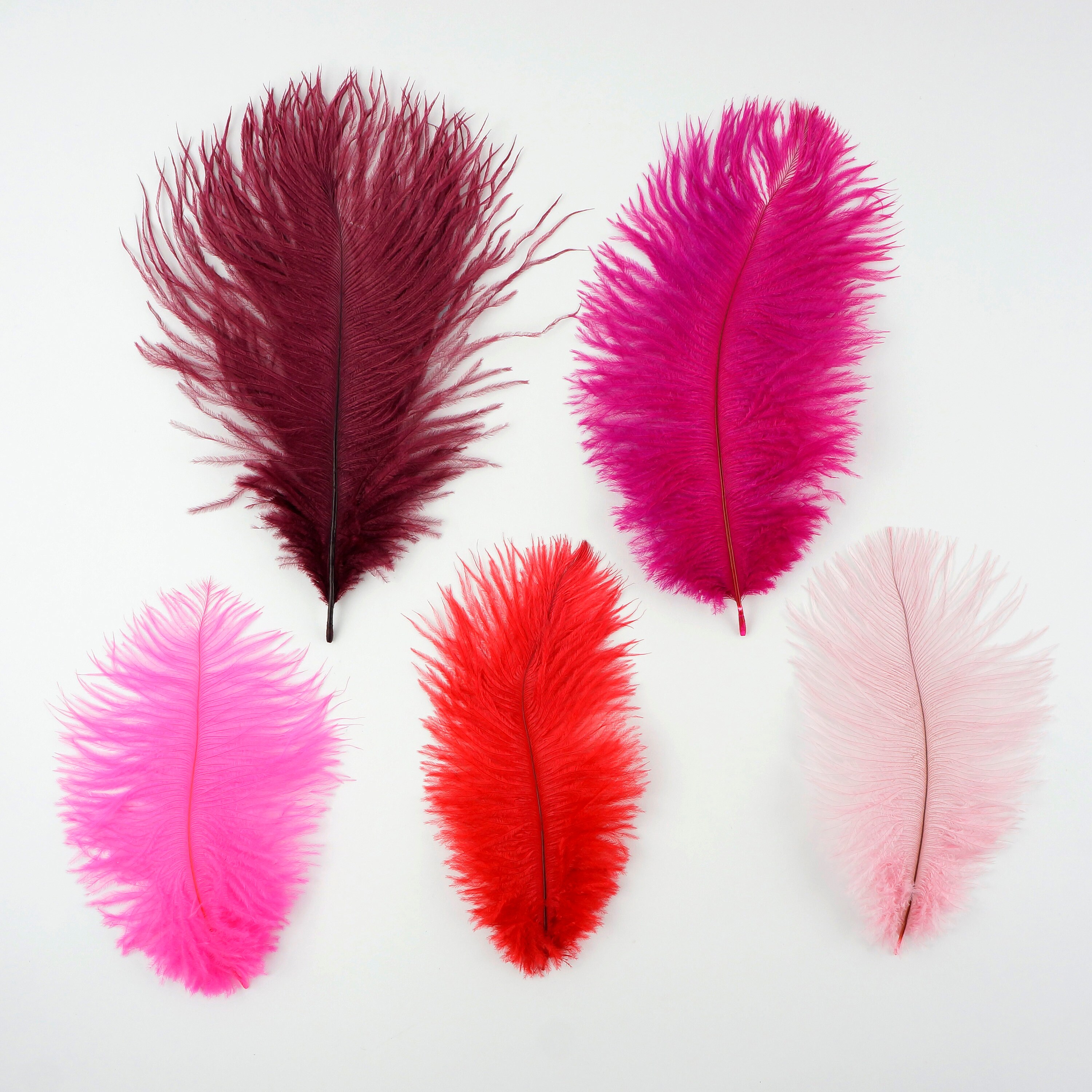 Bulk Ostrich Feathers 48 BURGUNDY, Mini Ostrich Drabs, Bouquets