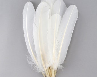 Puede incluir: Un manojo de plumas blancas con las puntas juntas. Las plumas son suaves y esponjosas, y serían perfectas para manualidades o decoración.