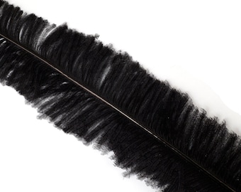 Ostrich Nandu Feathers, Black Ostrich Feather Nandus 13-24", Wholesale Carnival & Costume Feathers ZUCKER®