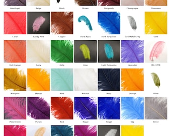 May include: A selection of dyed ostrich feathers in a range of colours, from deep burgundy to bright yellow. Each feather is displayed with its colour name, including "Teal," "Navy," and "Shocking Pink."