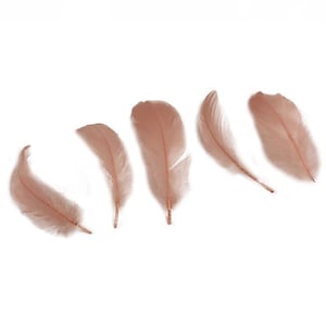 Goose Nagoire Feathers, 4-6&quot; Champage Blush Loose Goose Nagoire Feathers, Small Feathers, Arts and Craft Supplies ZUCKER®
