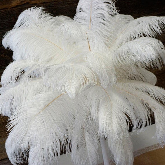 Ostrich Feathers 17-20 IVORY, 1 to 25 Pcs, Ostrich Plumes, Carnival Samba,  Ostrich Drab, Mardi Gras, Centerpieces, Feather Fan, ZUCKER® USA 