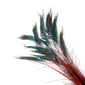 Peacock Sword Stem Dyed Feathers, 10 to 100 pieces 15-25" - RED, Floral Decor, Millinery, Jewelry Design ZUCKER® Sanitized in USA