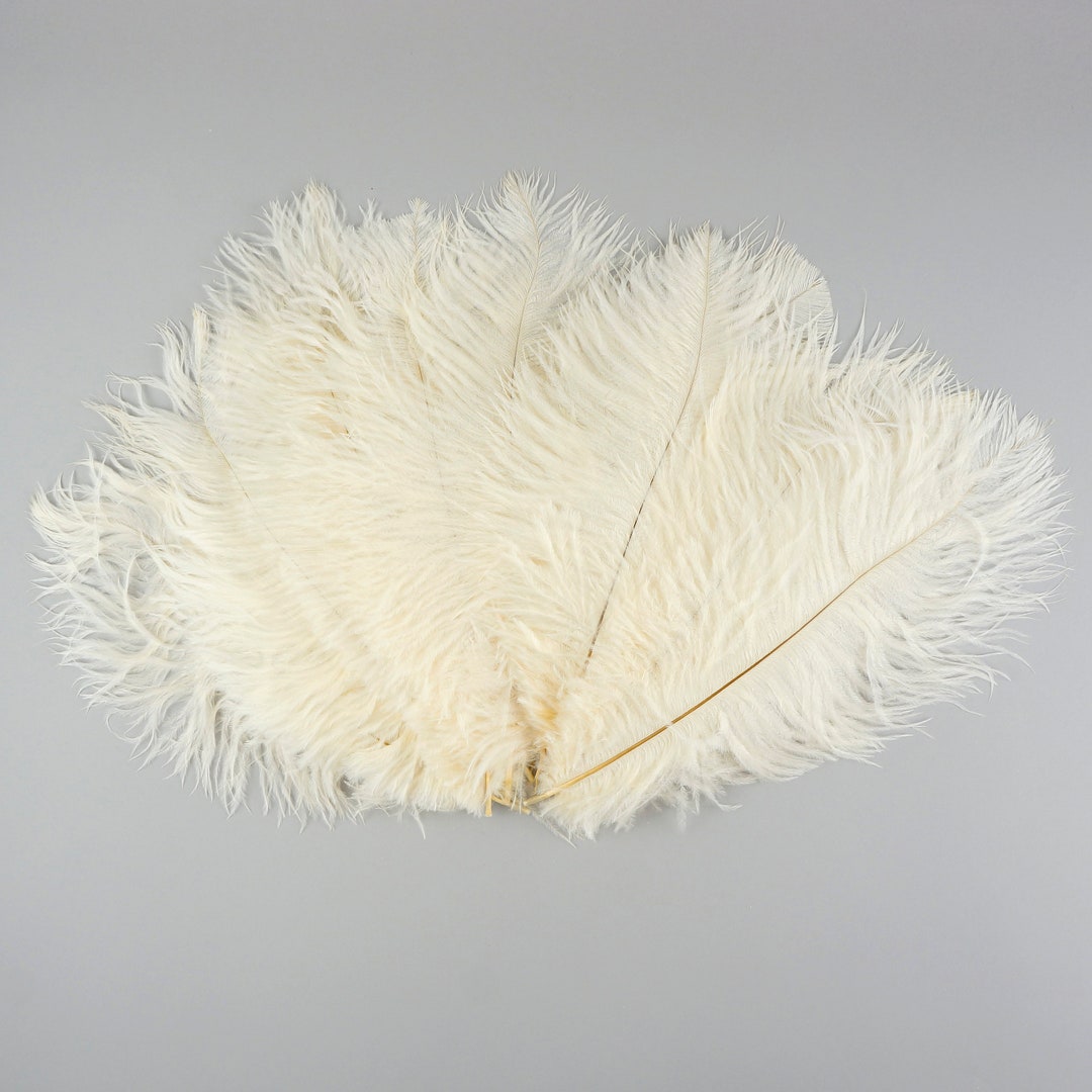 ZUCKER Ostrich Feathers for Centerpieces - Wedding Decorations - Bulk  Feathers for Crafts, 1/4 Pound (Approx 60 pcs), 13-16 inch, Beige