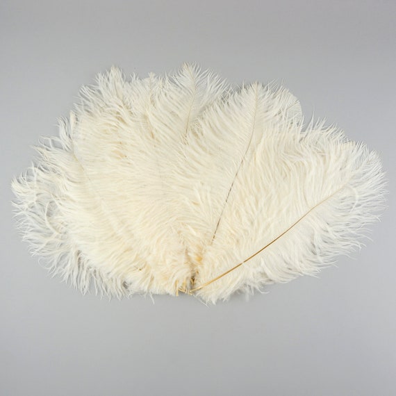 Ostrich feathers ivory sale
