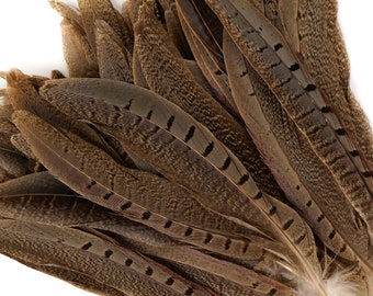 Pheasant Feathers